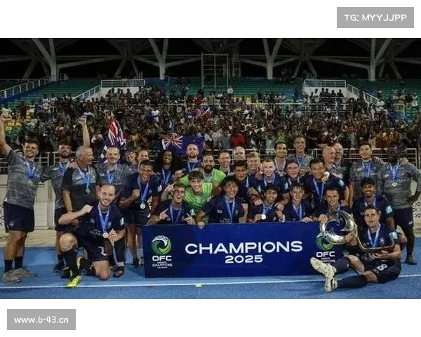 足球各洲赛事-各大洲足球联赛